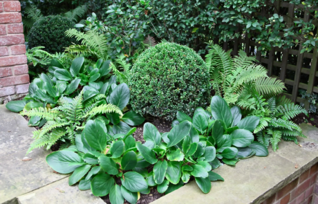 A beautiful 1930's garden in the sunshine