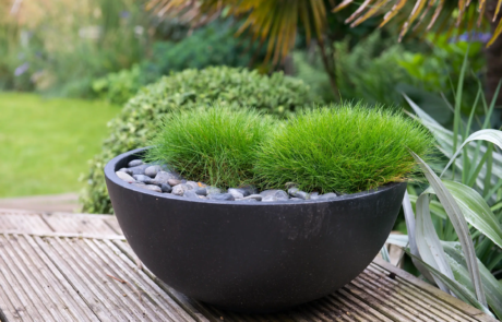 A garden using plants with origins from all over the world