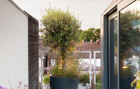 A city rooftop garden by Rosemary Coldstream