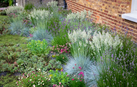 A modern garden in Hampstead designed by Rosemary Coldstream