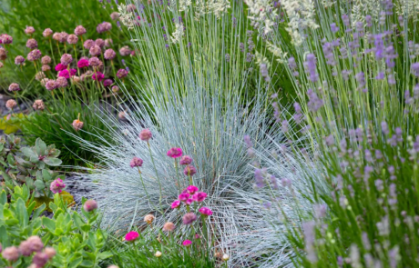 A modern garden in Hampstead designed by Rosemary Coldstream