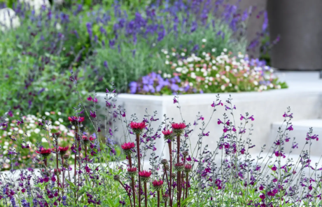 A garden that exudes classical formality, softened by romantic, billowy planting