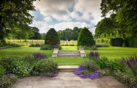 A beautiful Chilterns garden in the sunshine