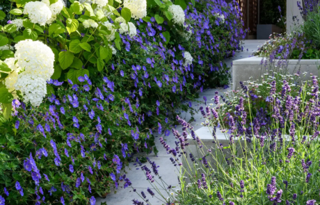 A garden that exudes classical formality, softened by romantic, billowy planting