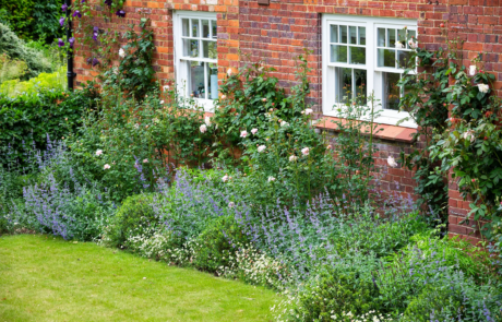 A beautiful Chilterns garden in the sunshine