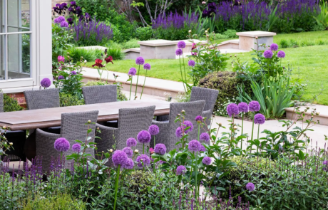 A beautiful garden with purple flowers in the sunshine