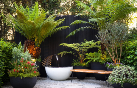 A stylish modern garden with water feature and bench