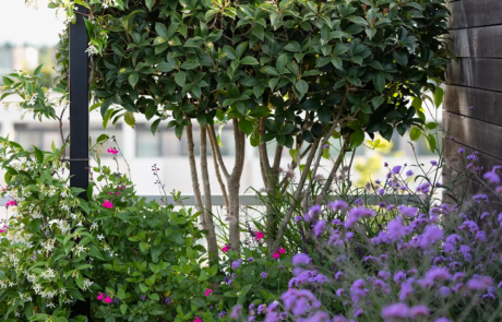 Colourful flowerbeds in a roof terrace garden