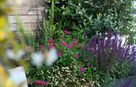 Colourful flowerbeds in a roof terrace garden