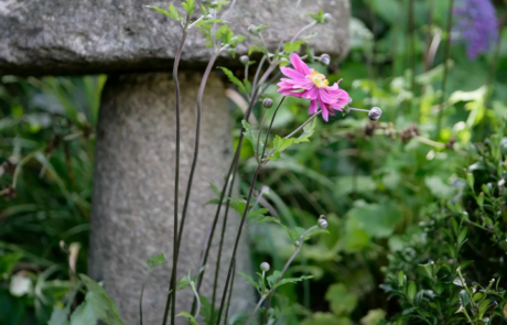 A stone toadstool amongst plants in a flowerbed.