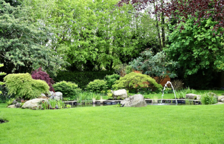 A pond with a water feature