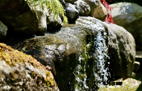 Water running off a mossy stone